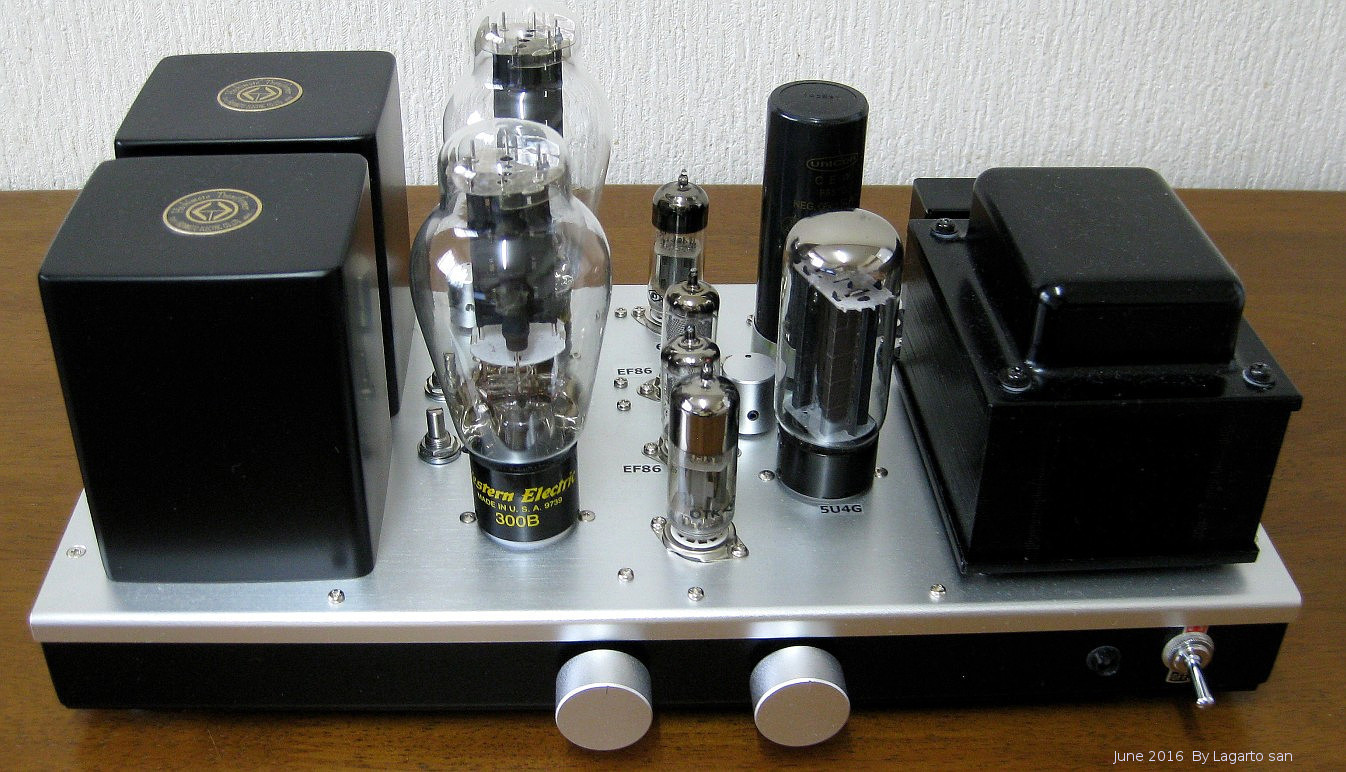 WE300B use