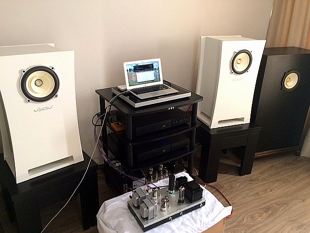 4P1L single ended amplifier 2014 chile