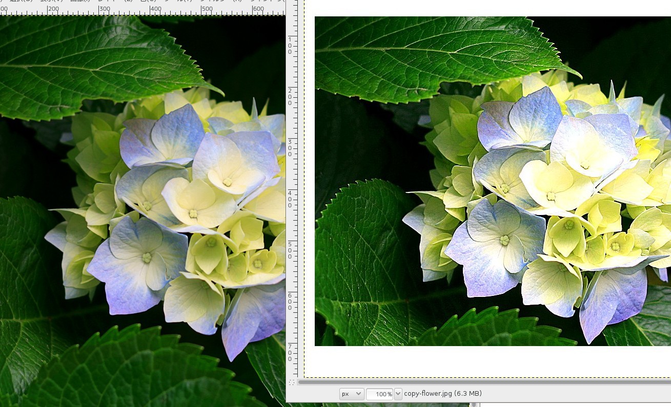 gimp2.6