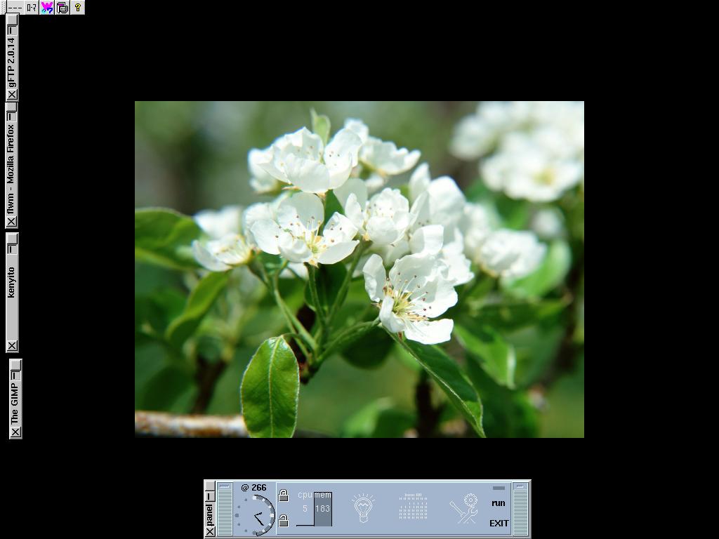 flwm + TKpanel