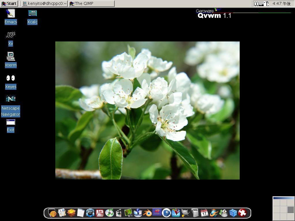 QVWM + Wbar