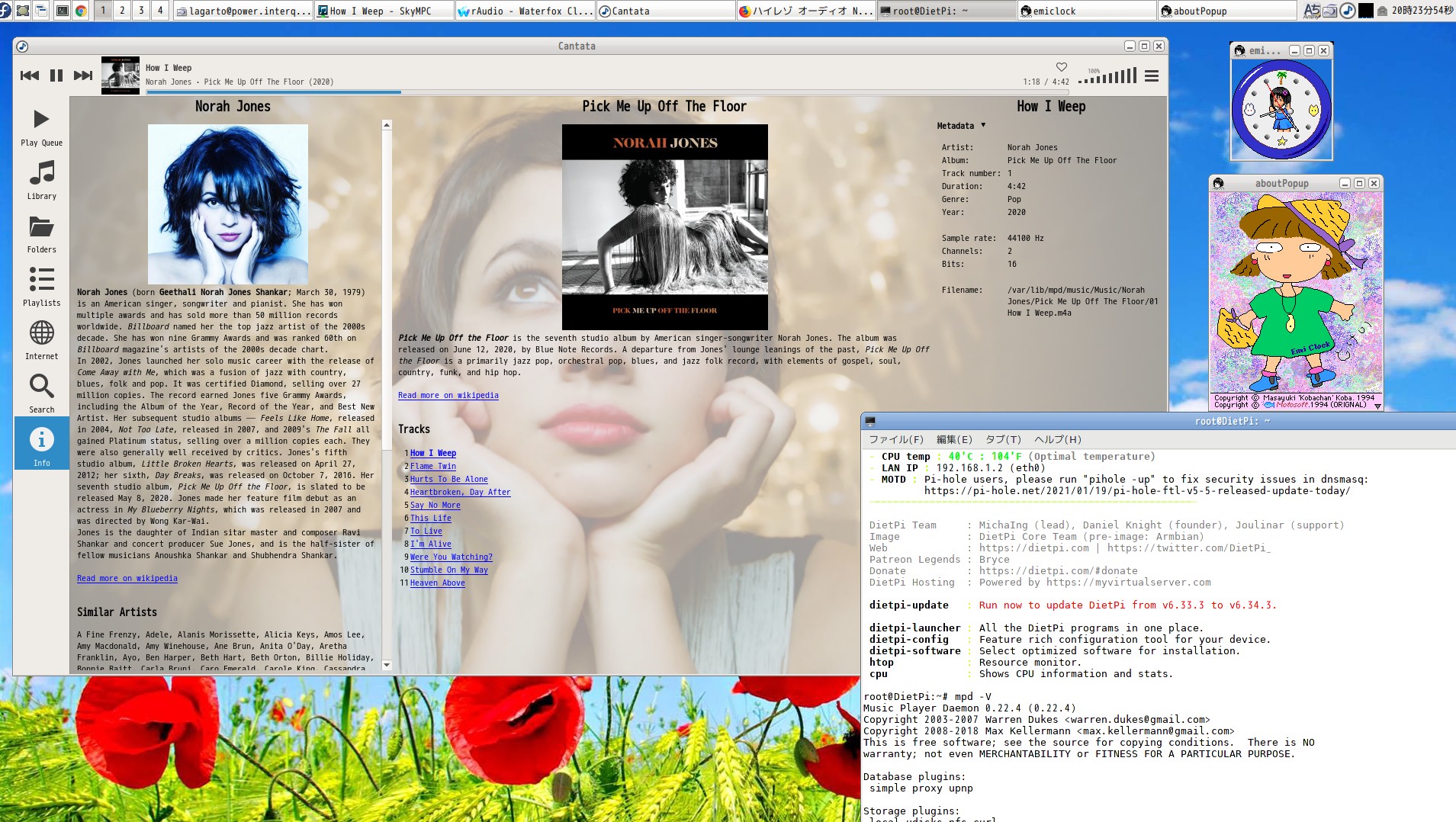 mpd 0.22.4