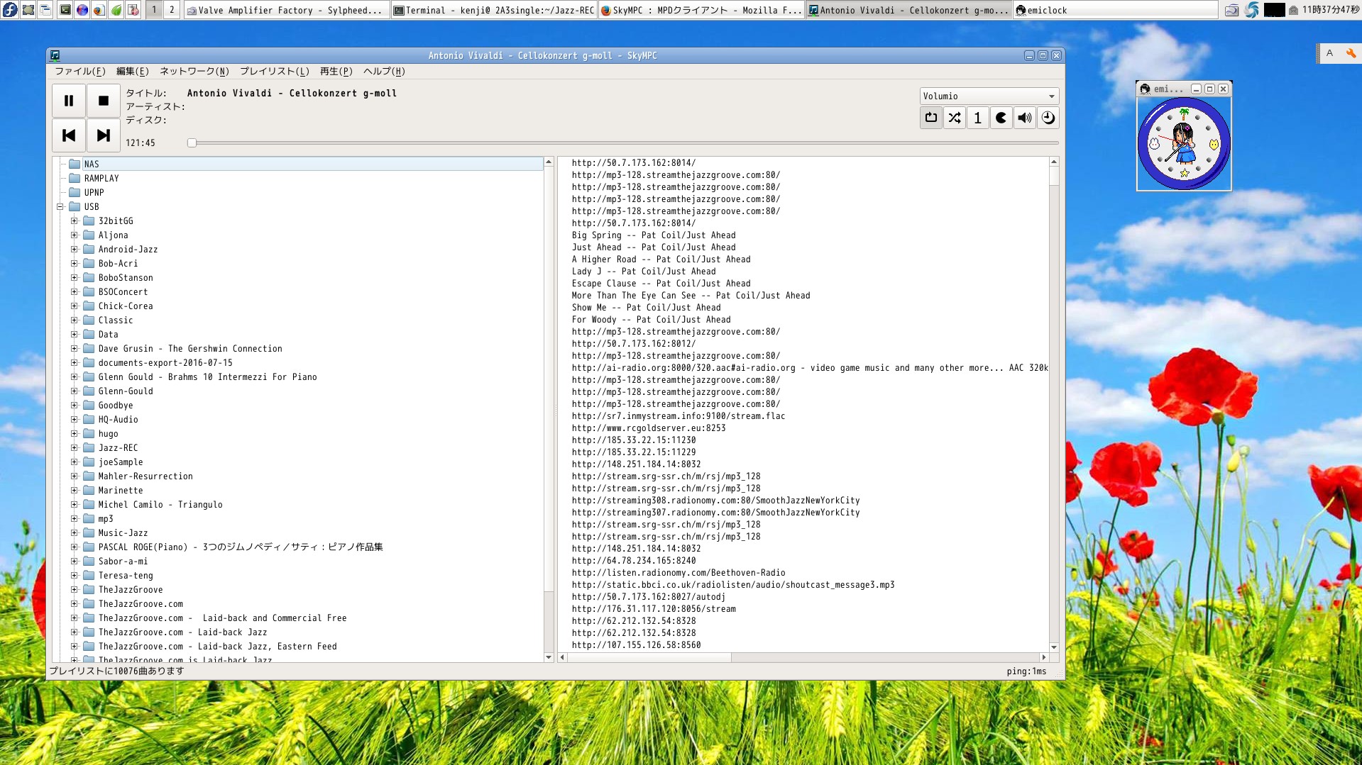 SKY PC under Linux