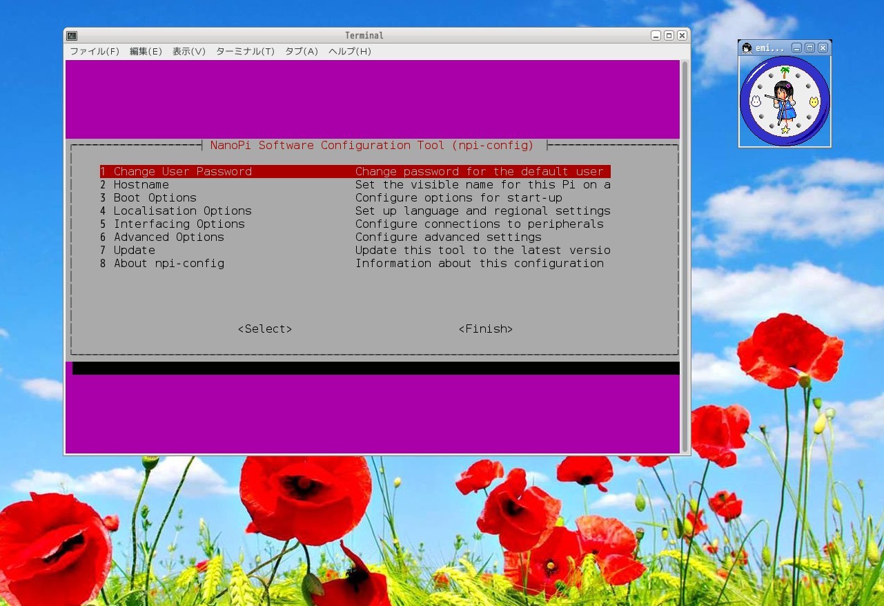 Npi-config